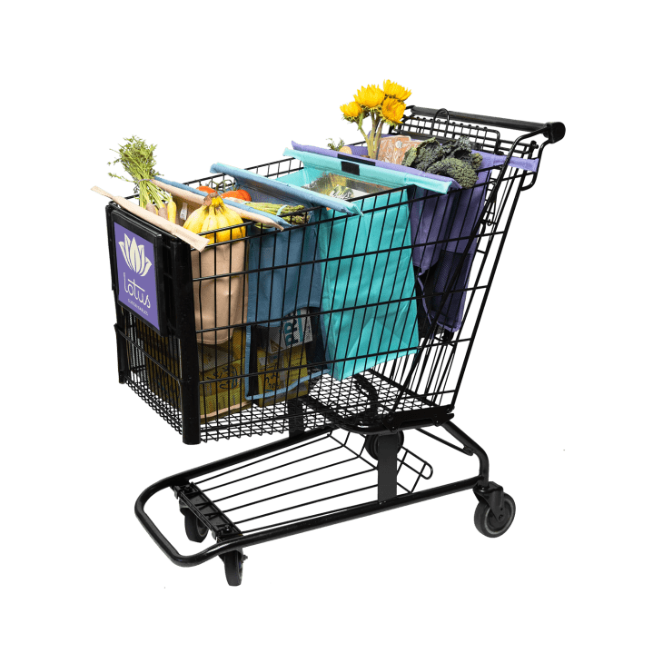 My Mom Is Obsessed with These Lotus Trolley Grocery Bags The Kitchn